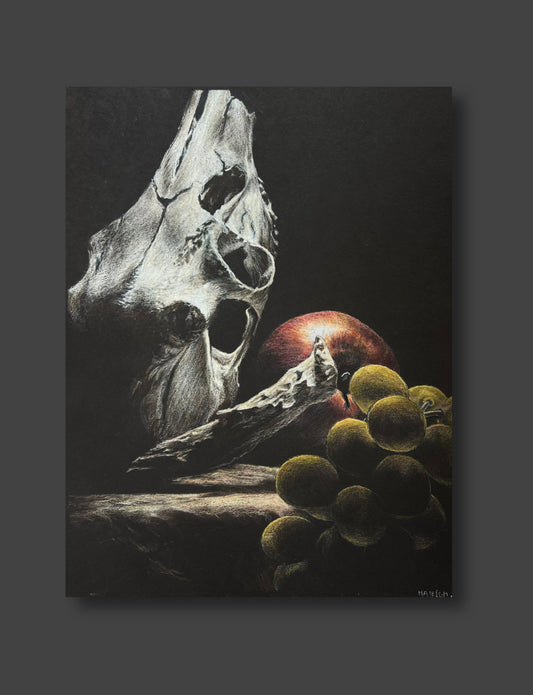 Still Life Original Drawing