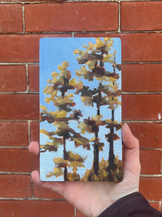 Pine Tree Original Oil Painting